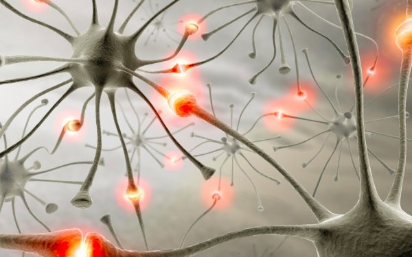 Ученые обнаружили отвечающие за судороги при эпилепсии мозговые клетки