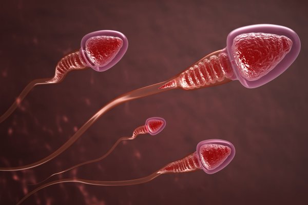 Ученые обнаружили на хвостах сперматозоидов странные спирали