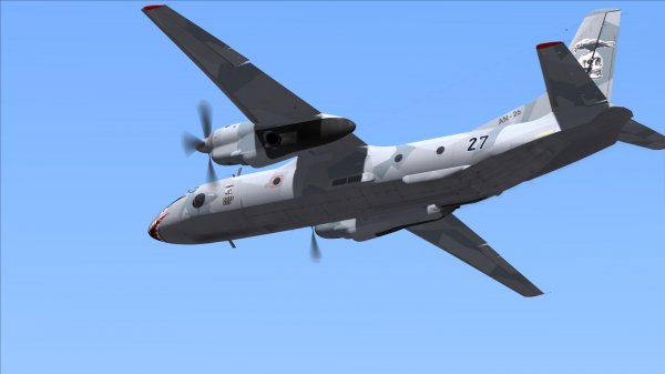 СМИ: Причиной крушения Ан-26 в Сирии могла быть ошибка пилотирования