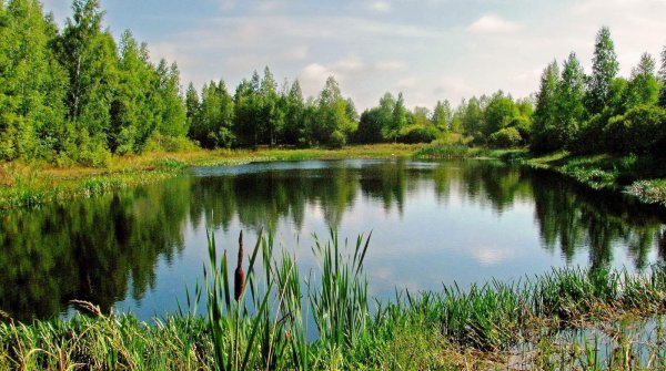 В Архангельской области охотник ненароком застрелил брата на озере