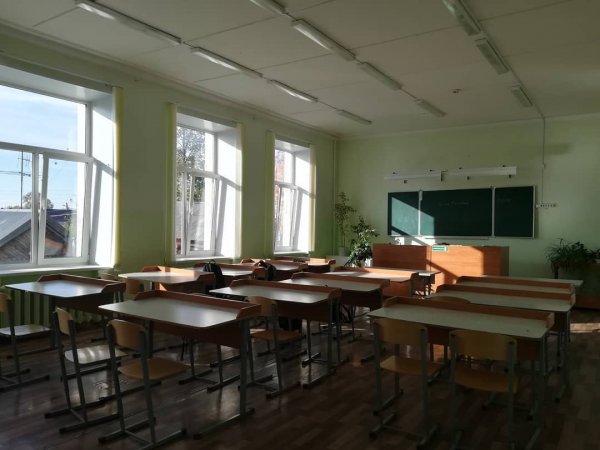 В Красноярском крае учительница предлагала школьнику уроки по английскому в обмен на секс