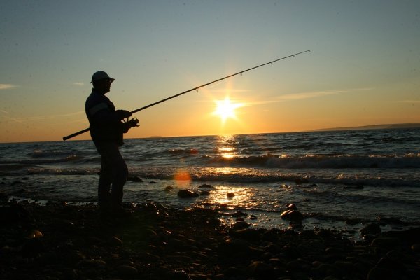 В Новокузнецке произошло убийство среди рыбаков