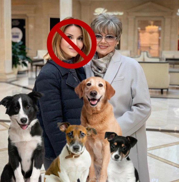 Мать отказалась от Ольги Орловой из-за ее страсти к собакам