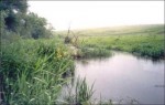 Гидрологическая обстановка на реках Амурской области