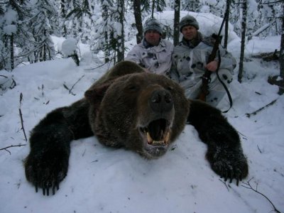 Во Флориде начинается первая за 20 лет охота на медведей