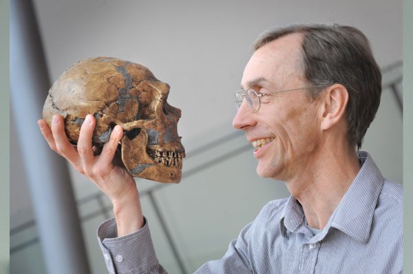 Ученые: Раскрыт секрет победы людей над неандертальцами