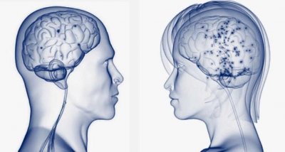 Ученые: Женщины пользуются мозгом эффективнее мужчин