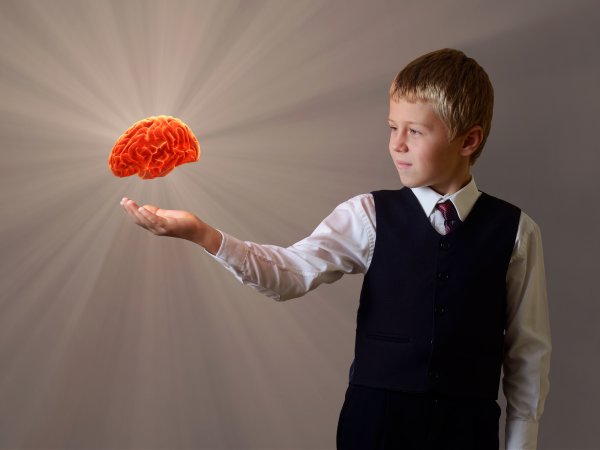 Ученые: Приобретенный в младенчестве опыт формирует мозг и личность