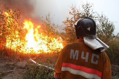 Сотрудники МЧС спасли поселок на Ямале от лесного пожара