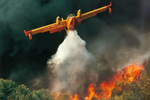 В Бурятии летчики вылетали тушить лесные пожары пьяными