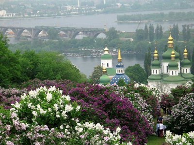 Ботанический сад в Киеве.