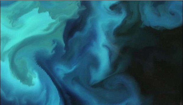 Спутник Sentinel-2A сделал снимки цветения планктона в Баренцевом море