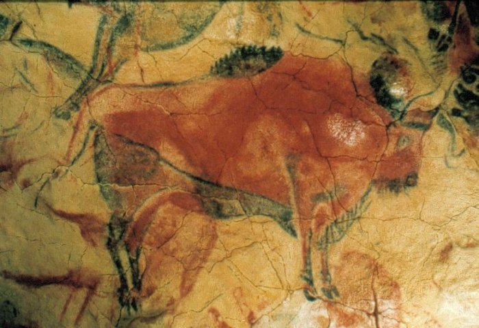 В Испании найдены древние наскальные рисунки животных