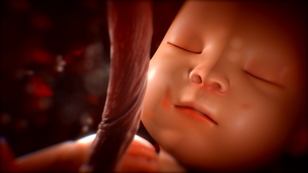Ученые: 3D-снимки ребенка придут на смену УЗИ плода