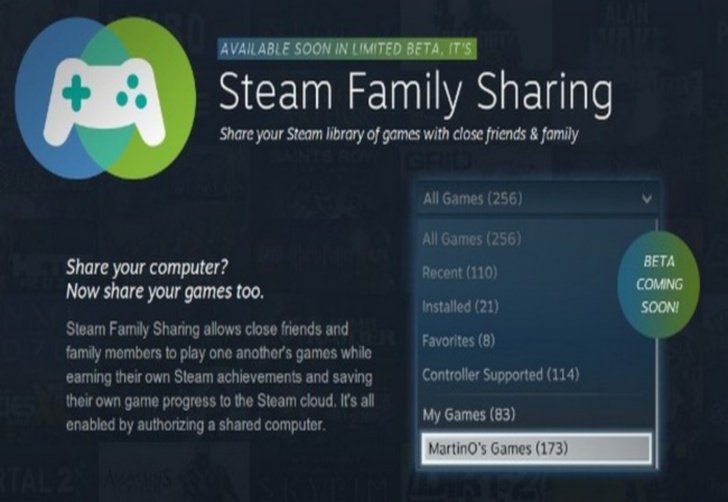 Steam Family.