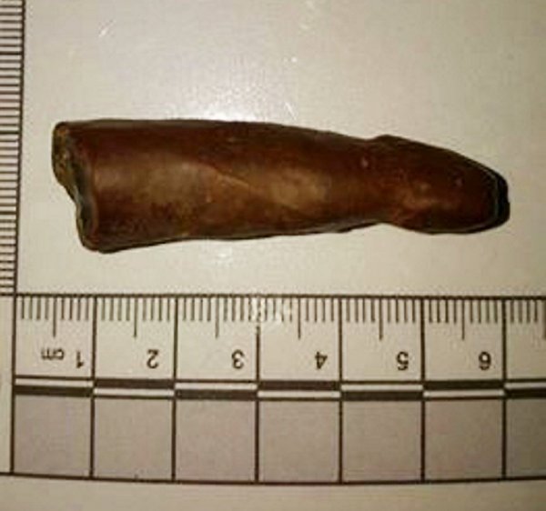 В Великобритании мужчина обнаружил окаменелый пенис мамонта