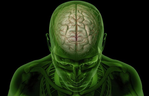 Ученые: Синдром расщепленного мозга не приводит к раздвоению личности