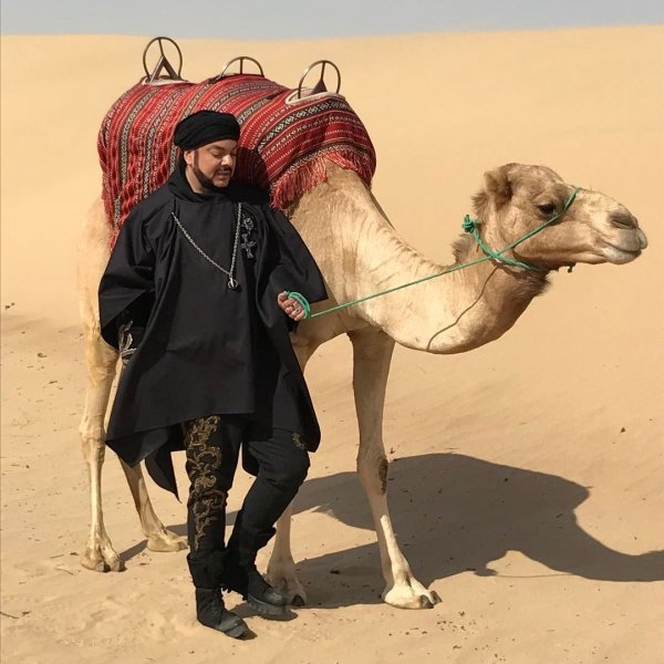 Киркоров опубликовал фотоснимок с подругой-верблюдом