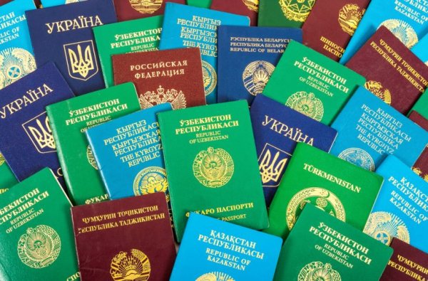Эксперты рассказали, почему паспорта мира бывают только четырех цветов