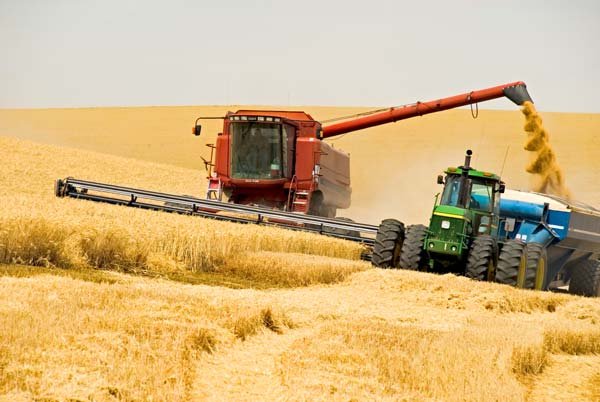 Российская компания разработала "автопилот" для зерноуборочного комбайна