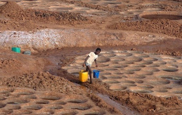 Ученые создали бюджетный прибор для добычи воды в пустыне