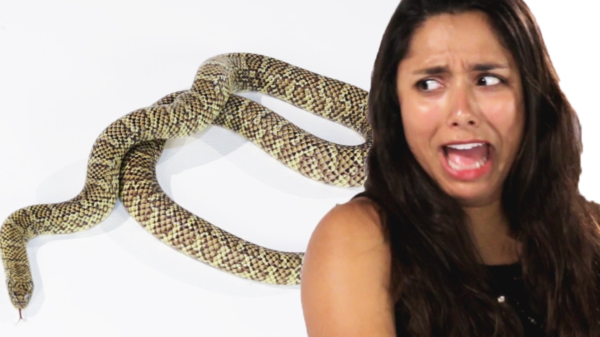 She is snake. Фотосессия со змеей.