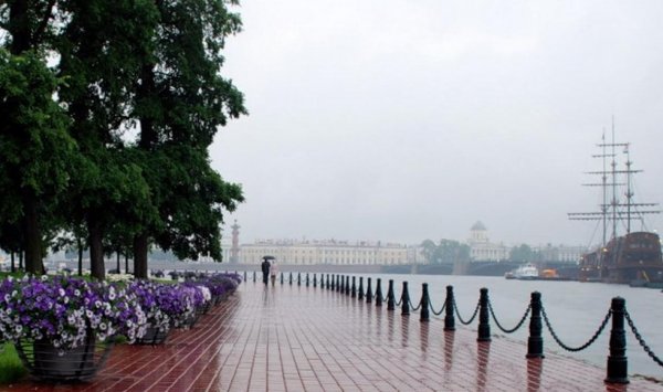 Синоптики рассказали о погоде в Петербурге на выходные
