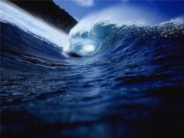 Ученые рассказали о страшной катастрофе, ожидающей мировой океан