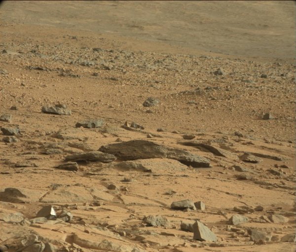 На Марсе обнаружены окаменелые останки инопланетянина: Подробности, комментарии
