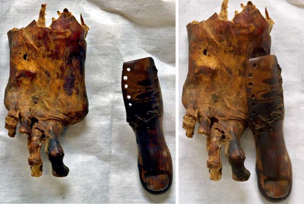 Тайны Египта: Скелет русалки, древний протез и другие находки учёных