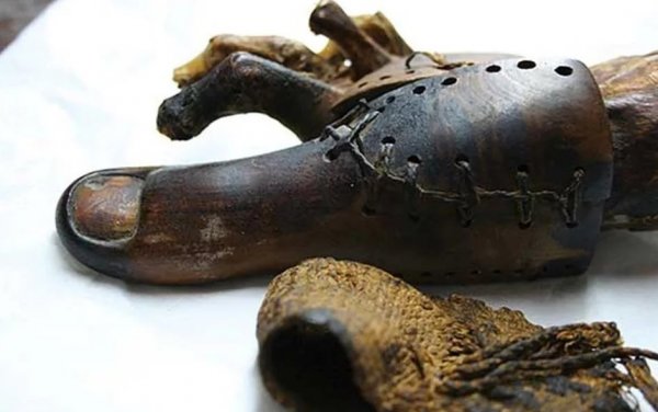 Тайны Египта: Скелет русалки, древний протез и другие находки учёных