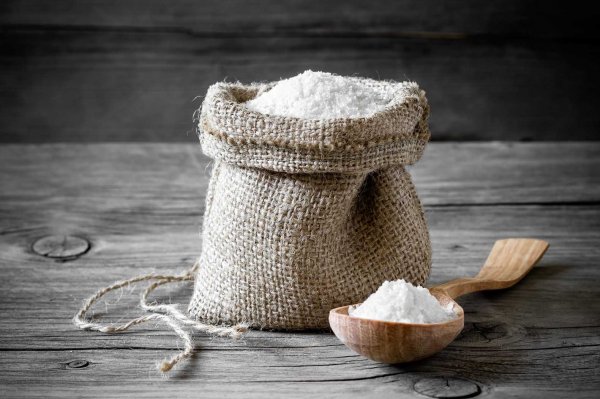 Как соль влияет на чувство голода, выяснили ученые