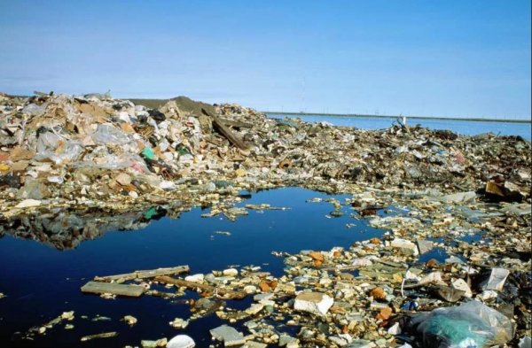 Учёные: В Тихом океане обнаружено огромное мусорное пятно