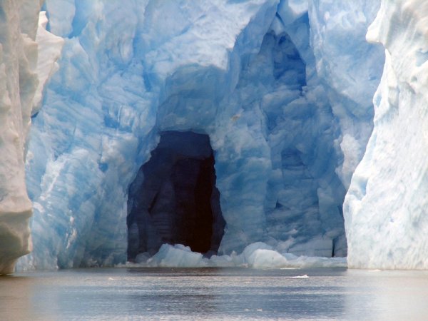 Ученые обнаружили во льдах Антарктиды неизвестные виды живых существ