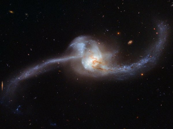 «Хаббл» сфотографировал последствия столкновения двух галактик: Откуда взялись гигантские «головастики» с яркими хвостами?