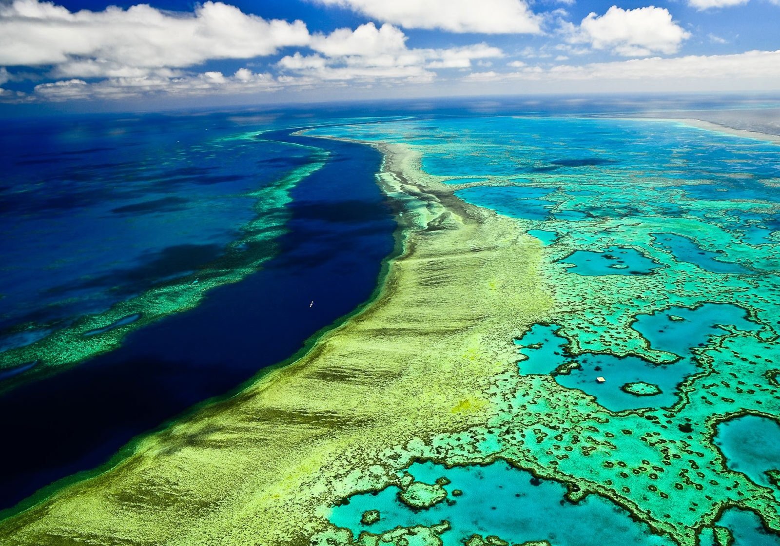 Австралийские ученные выяснили, как спасти Большой Барьерный Риф