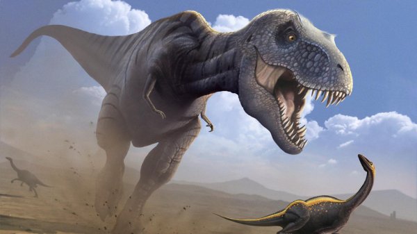 Передние лапки тираннозавра могли быть орудиями для убийства