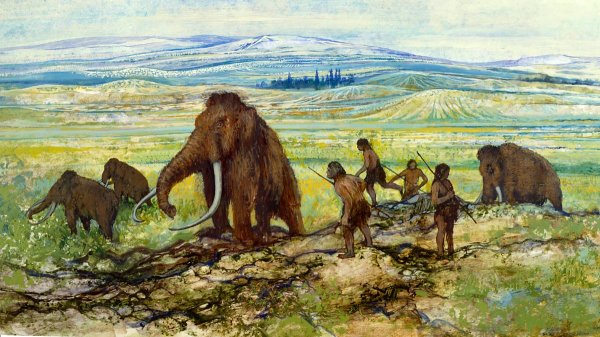 В Якутии внутри скелета мамонта обнаружили удивительное копье