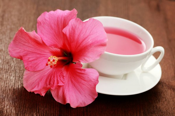 Ученые назвали самый полезный чай для женского здоровья 