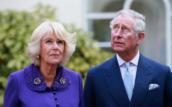 «Бог ты мой, действительно?!»: 70-летняя супруга принца Чарльза беременна