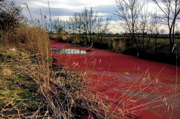 Кровавая река под Краснодаром напугала жителей