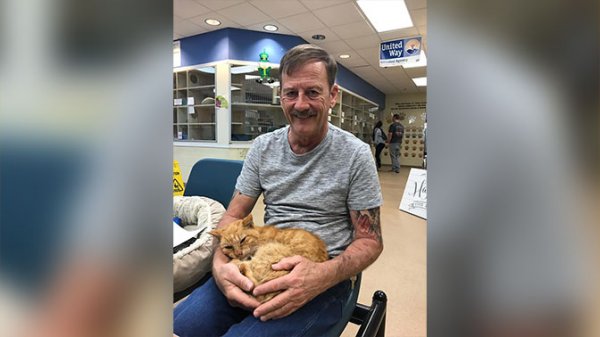 Пропавший во время урагана кот вернулся к хозяину спустя 14 лет