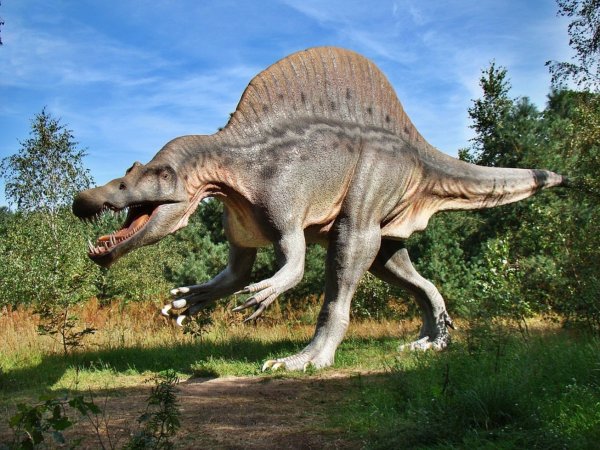 Динозавры не существовали? Ученые рассказали, какие виды животных скоро исчезнут