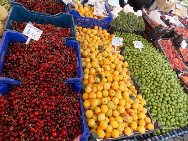 Россельхознадзор: Ввоз товаров растительного происхождения из Абхазии запрещен