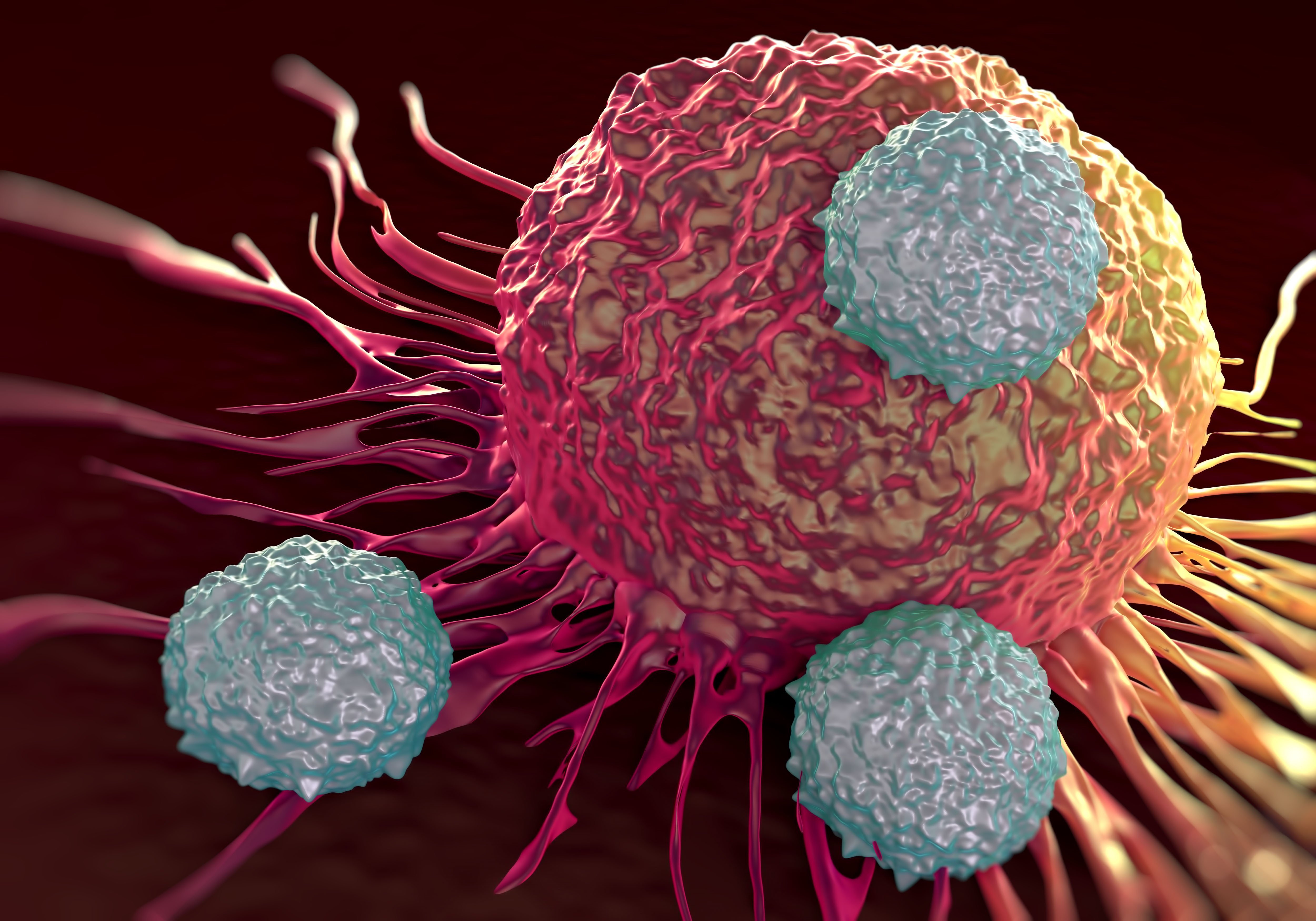 Cell virus. Т лимфоциты под микроскопом. Раковые стволовые клетки. Т-лимфоциты ВИЧ микроскоп. Опухолевые клетки.