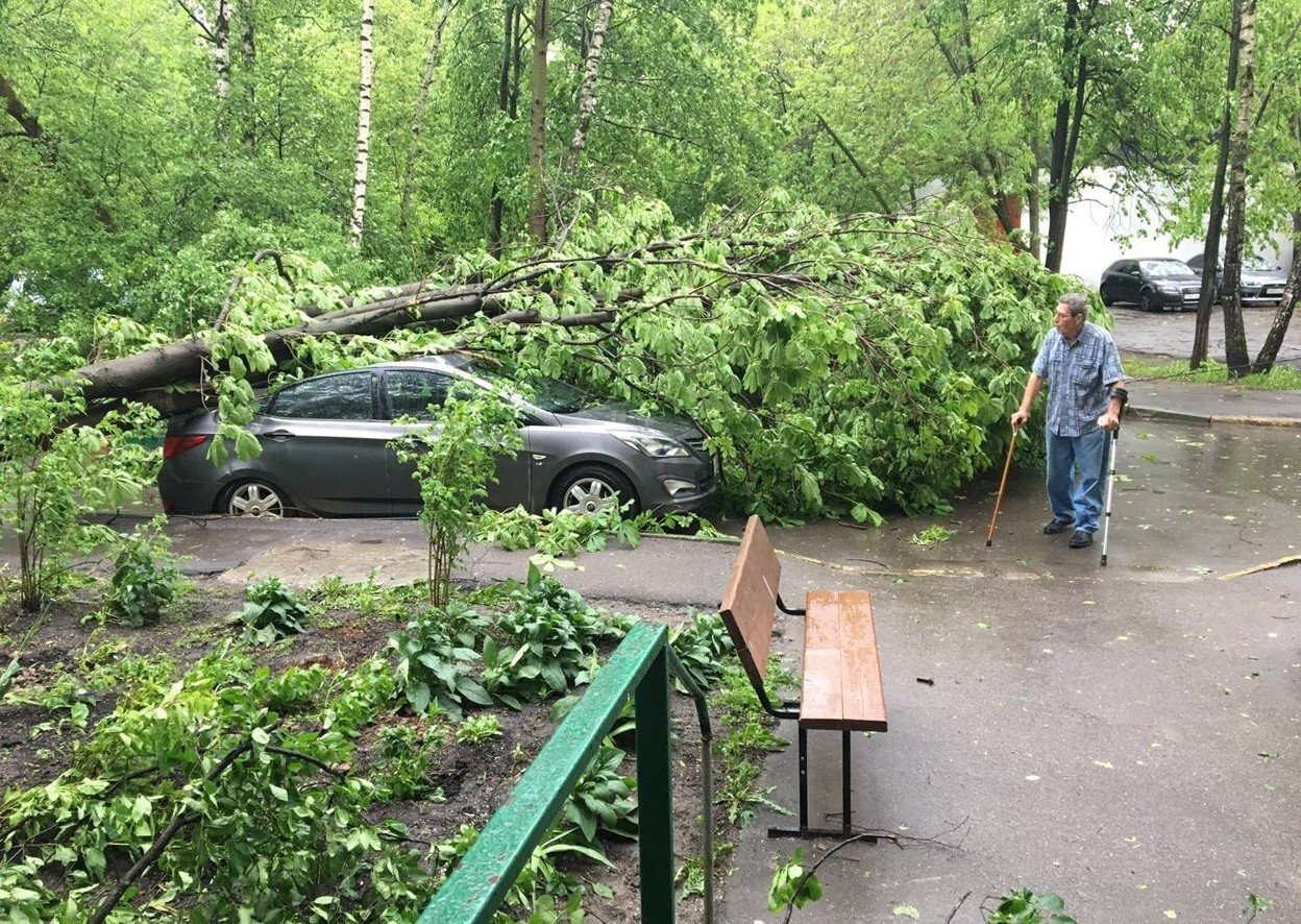 Будет ли ураган в москве. Ураган в Москве 1998. Ураган в Москве (2017). Ураган в Подмосковье 1998. Упавшее дерево.