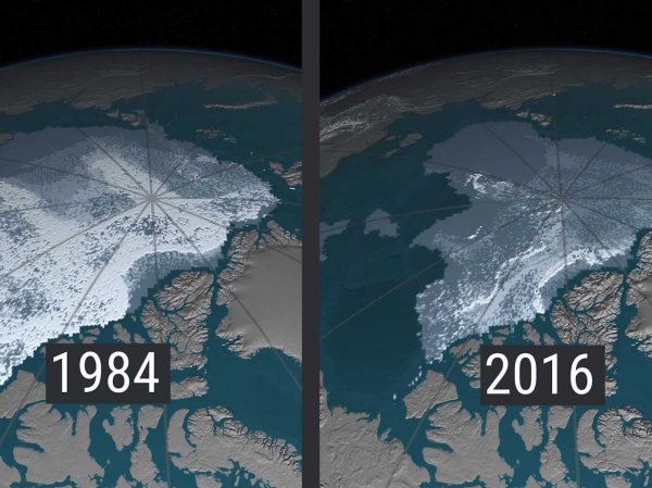 Физики показали геометрическую модель тающих льдов в Арктике