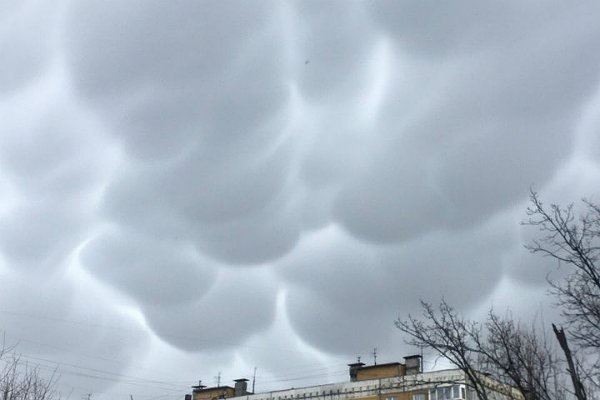 "Предвестники апокалипсиса": В небе над Нижним Новгородом наблюдают странные облака