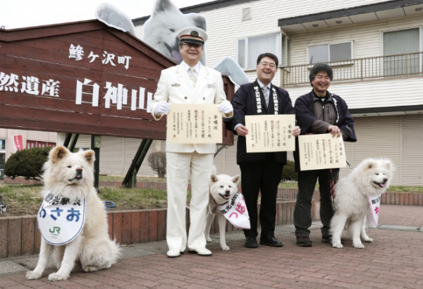 В Японии бездомный пес стал начальником ЖД вокзала