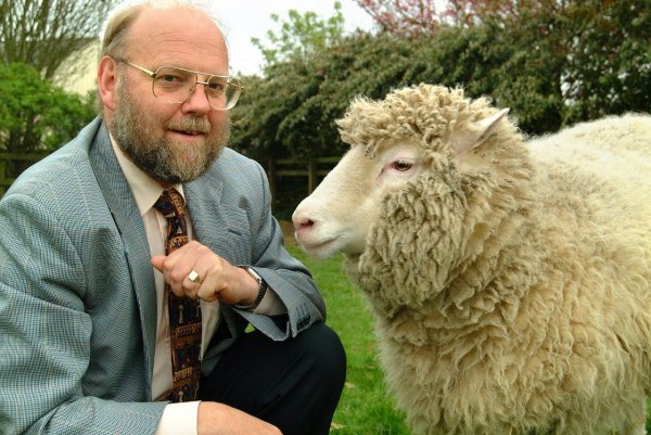 У «отца» клонированной овцы Долли диагностировали неизлечимое заболевание